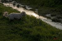 Cjp_2010_04_14_172342 (1).jpg